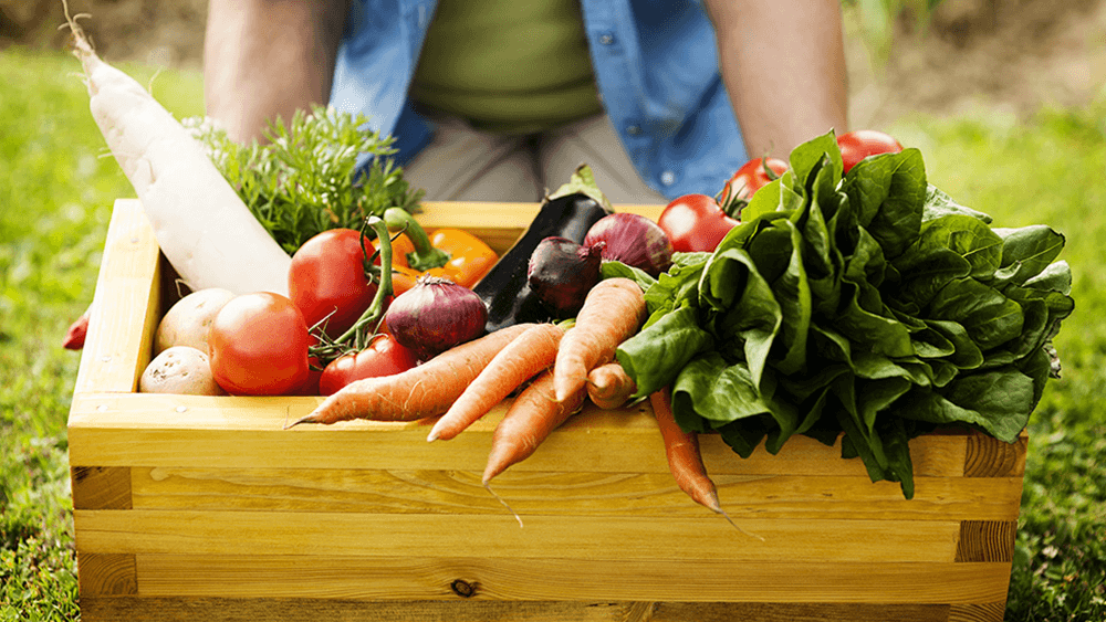 7 de junho. Dia Mundial da Segurança dos Alimentos.